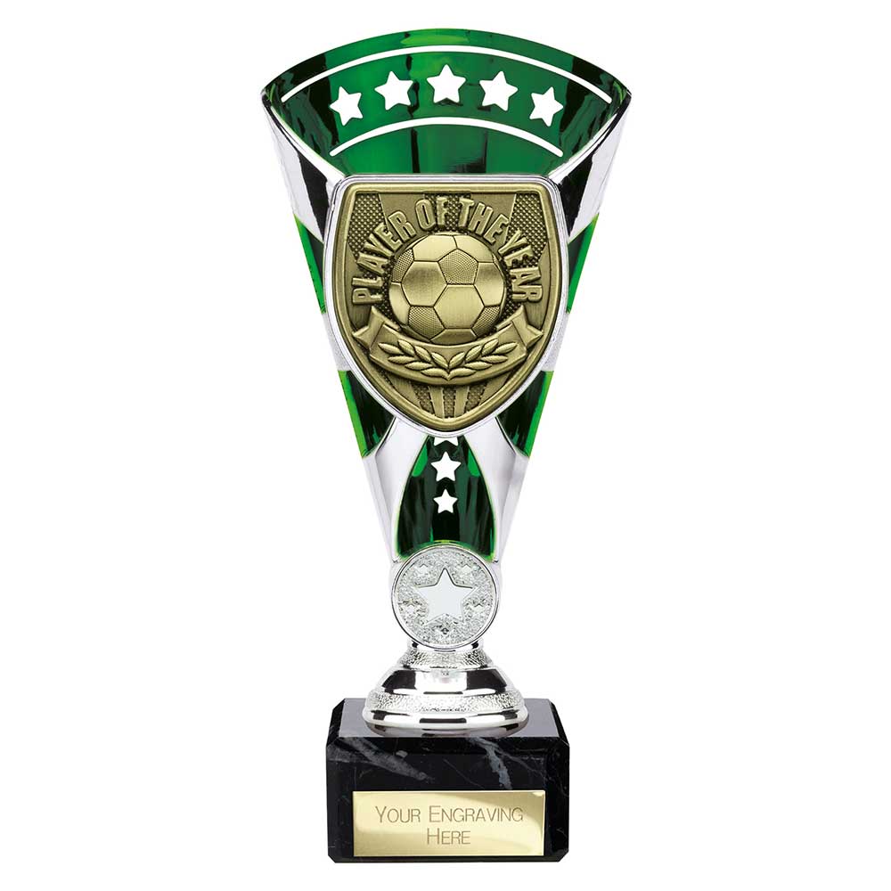 Cobra Star Cup Player of Year - 210mm
