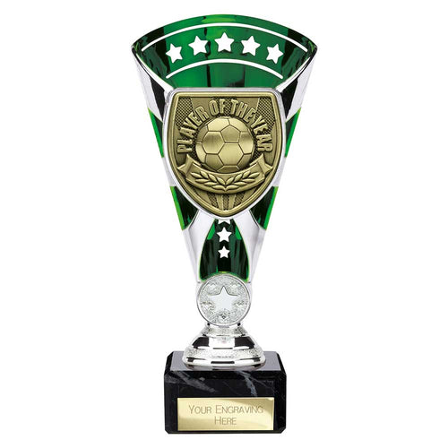 Cobra Star Cup Player of Year - 210mm