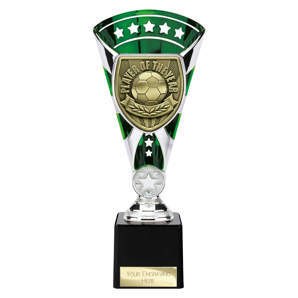 Cobra Star Cup Player of Year - 230mm