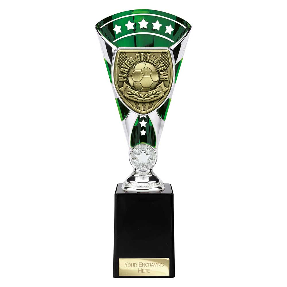 Cobra Star Cup Player of Year - 255mm