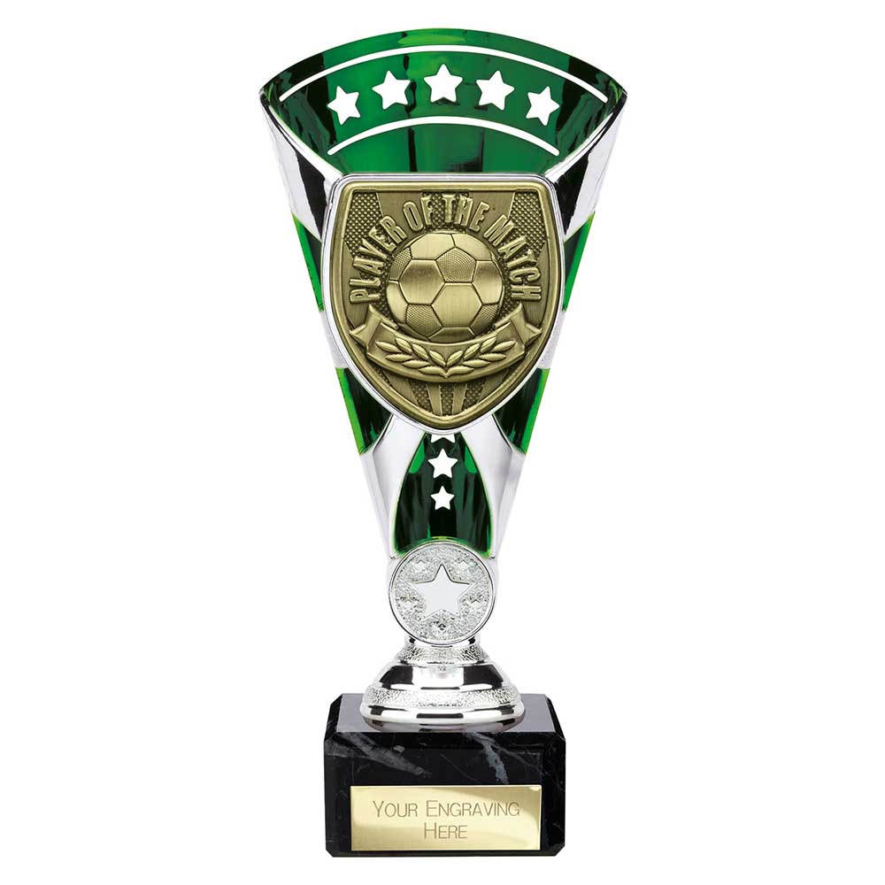 Cobra Star Cup Player of Match - 210mm