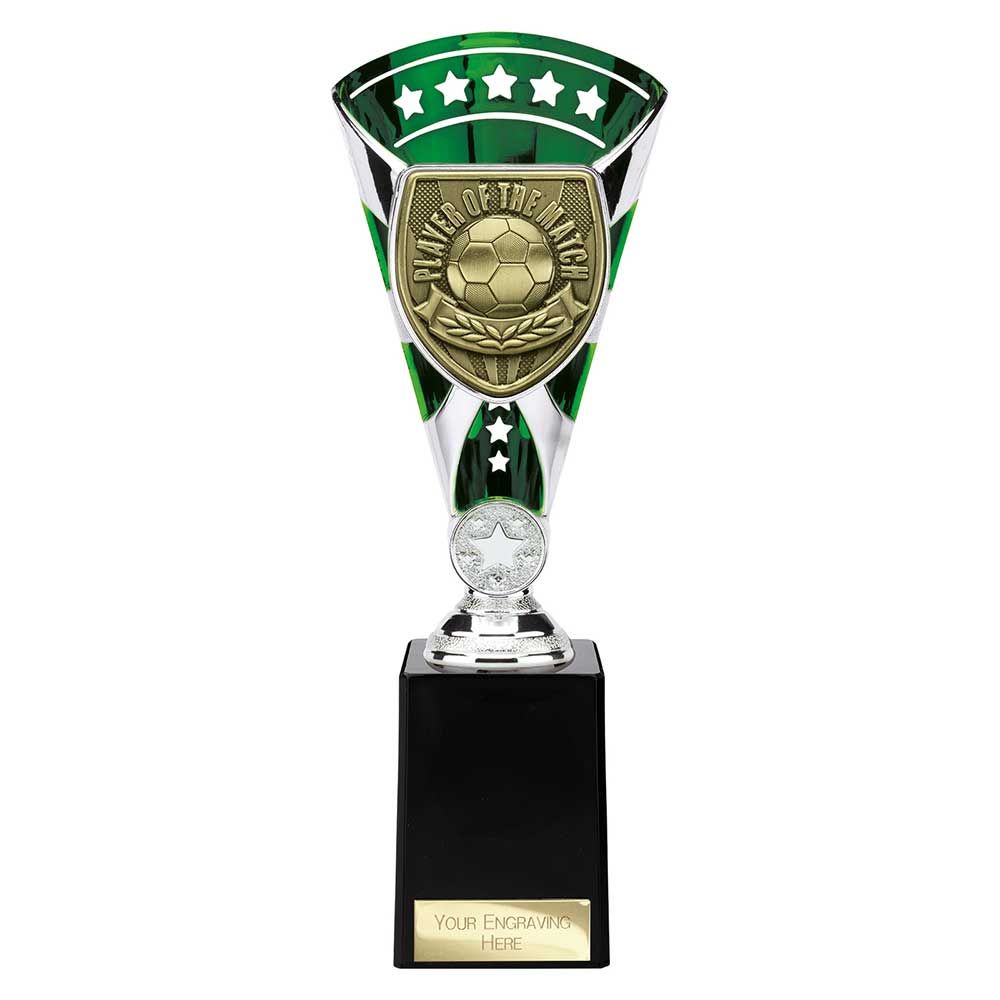 Cobra Star Cup Player of Match - 255mm