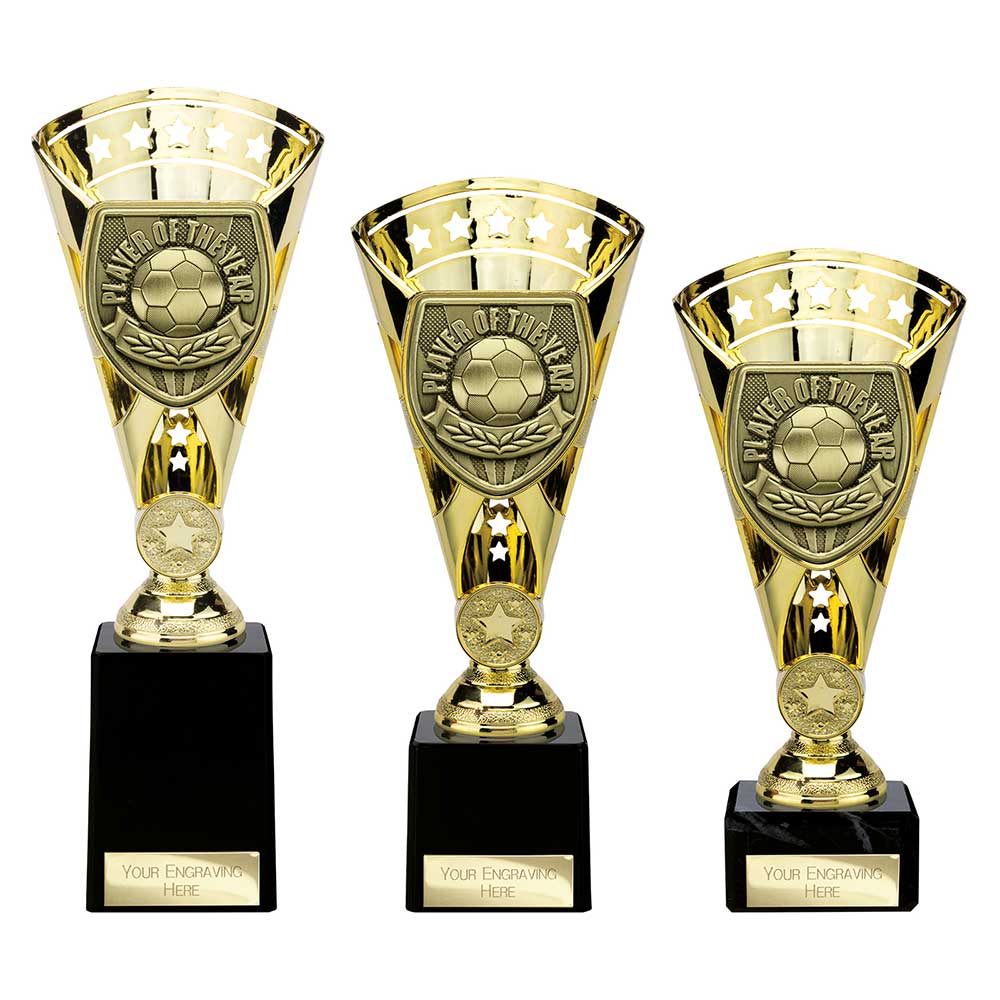 Cobra Star Cup Player of Year