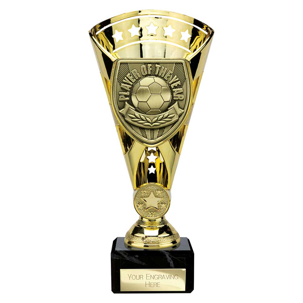 Cobra Star Cup Player of Year - 210mm
