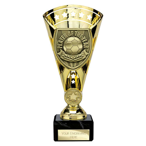 Cobra Star Cup Player of Year - 210mm
