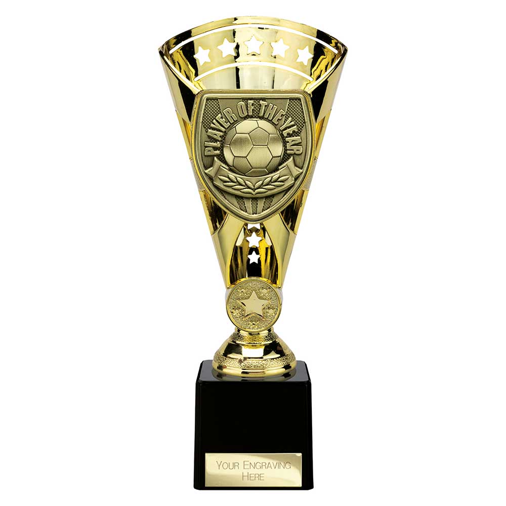 Cobra Star Cup Player of Year - 230mm
