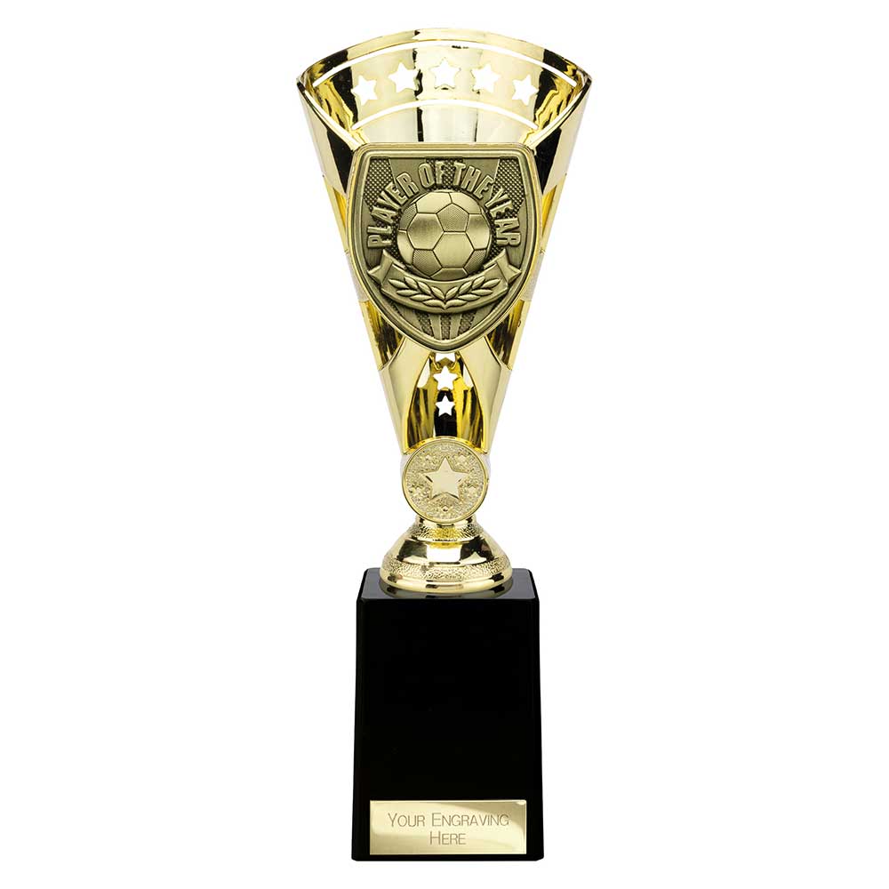Cobra Star Cup Player of Year - 255mm
