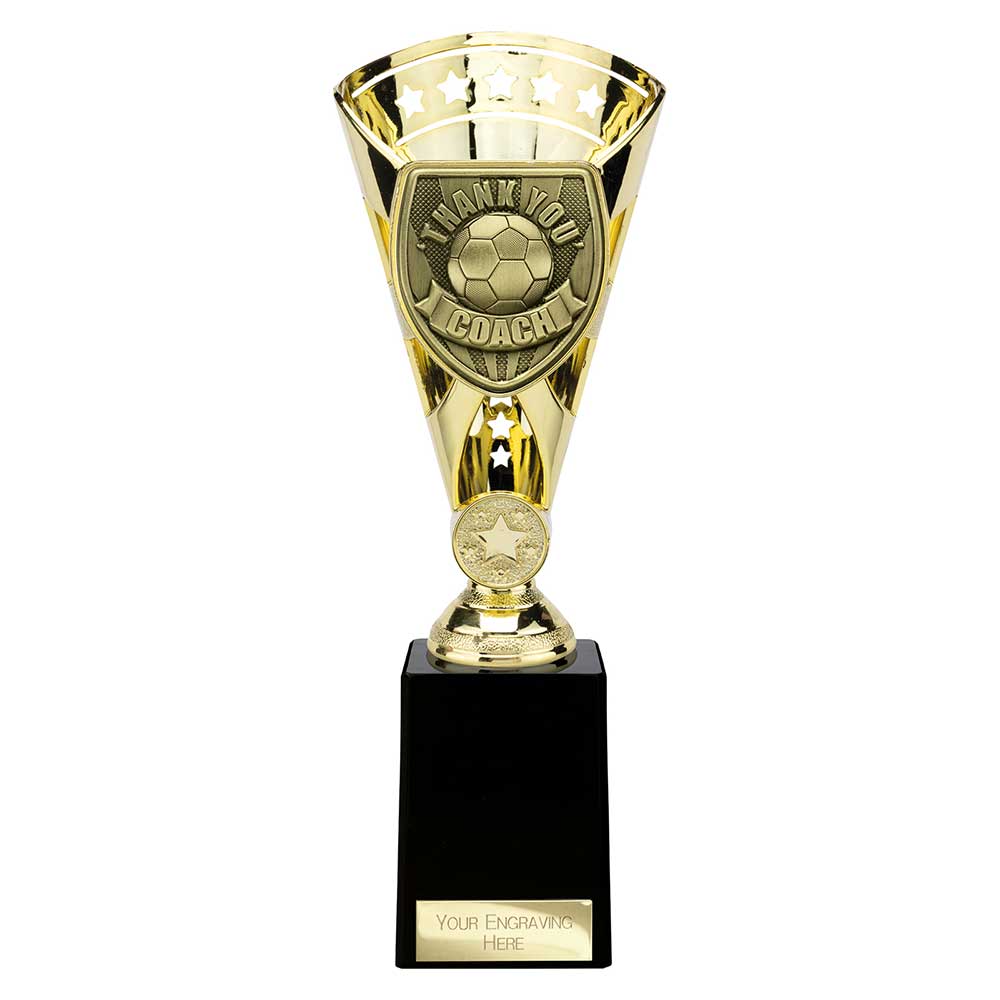 Cobra Star Cup Thank you Coach - 255mm
