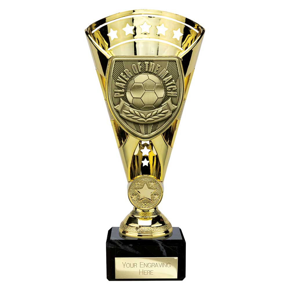 Cobra Star Cup Player of Match - 210mm