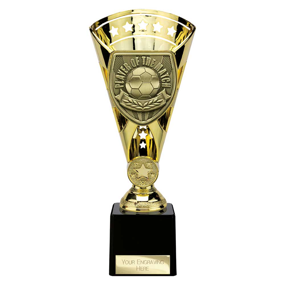Cobra Star Cup Player of Match - 230mm