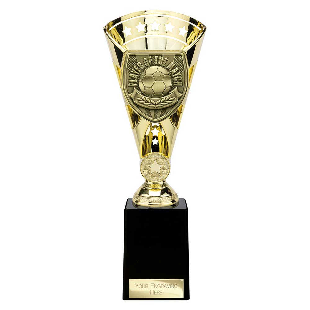 Cobra Star Cup Player of Match - 255mm