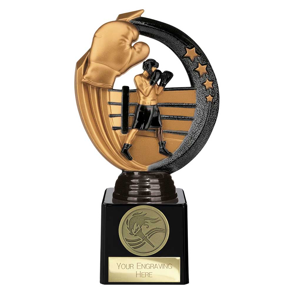 Renegade Legend Boxing Award Black - 175mm