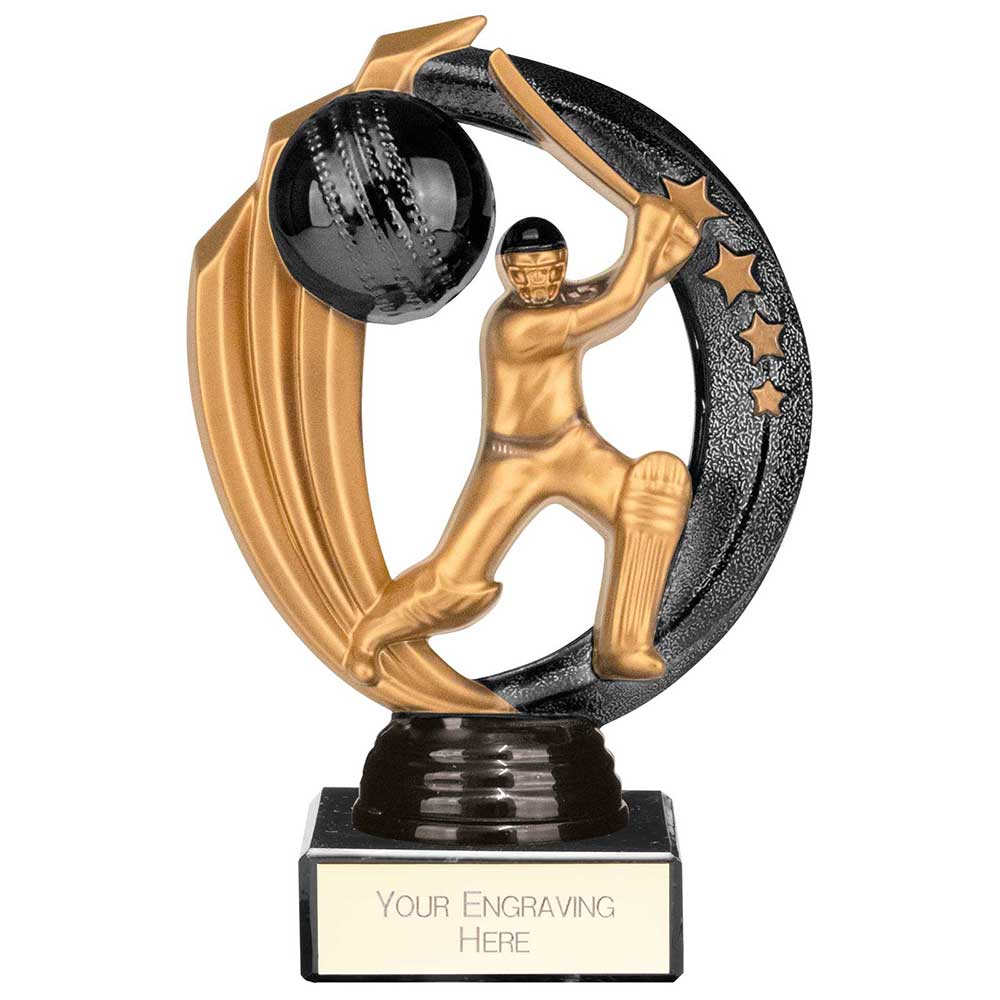 Renegade Legend Cricket Award Black - 145mm