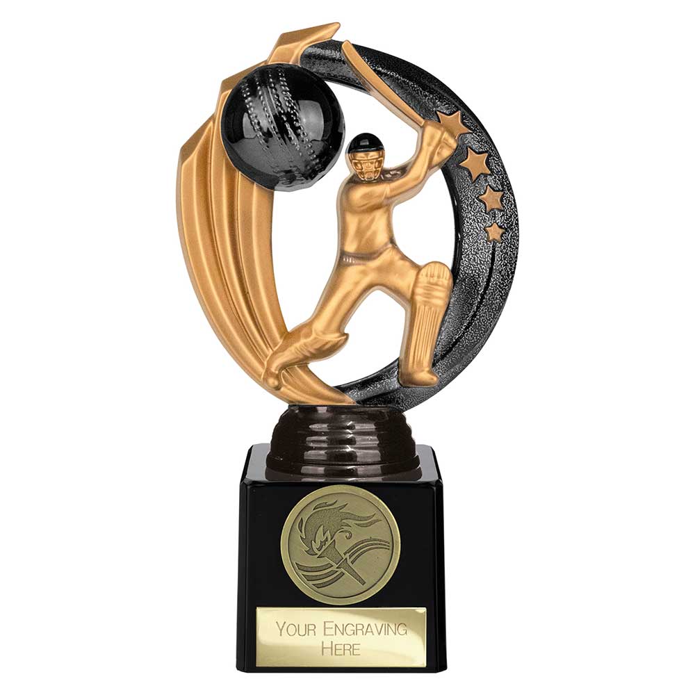 Renegade Legend Cricket Award Black - 175mm