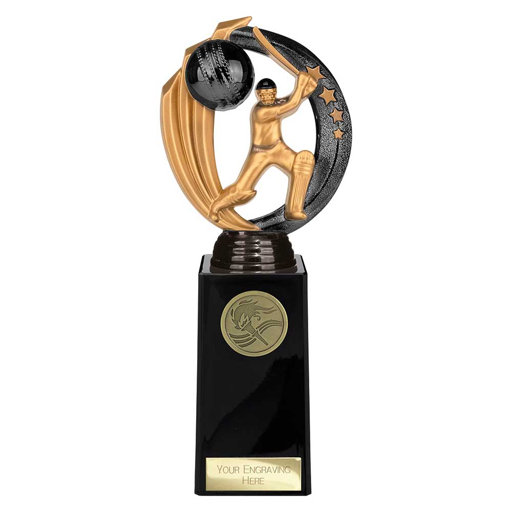 Renegade Legend Cricket Award Black - 225mm
