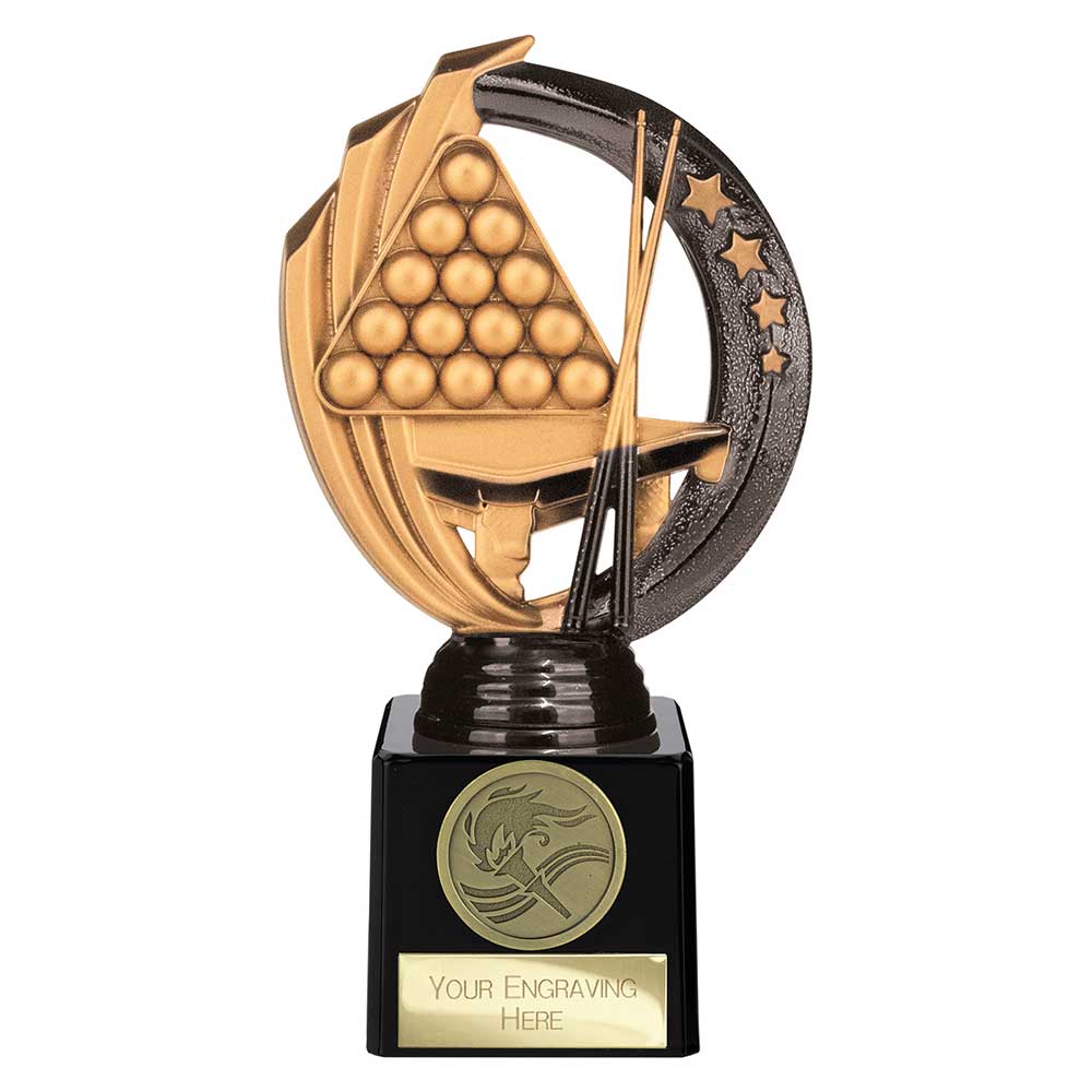 Renegade Legend Snooker Award Black - 175mm