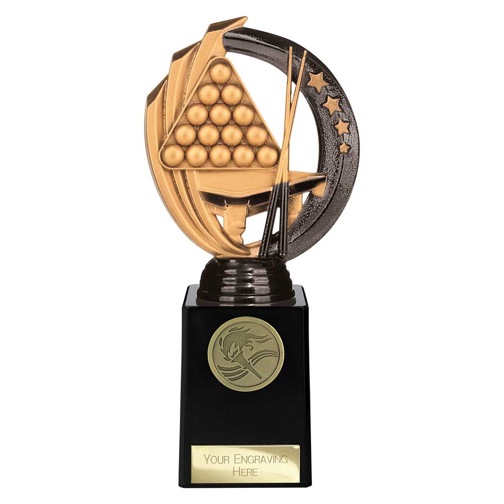 Renegade Legend Snooker Award Black - 200mm