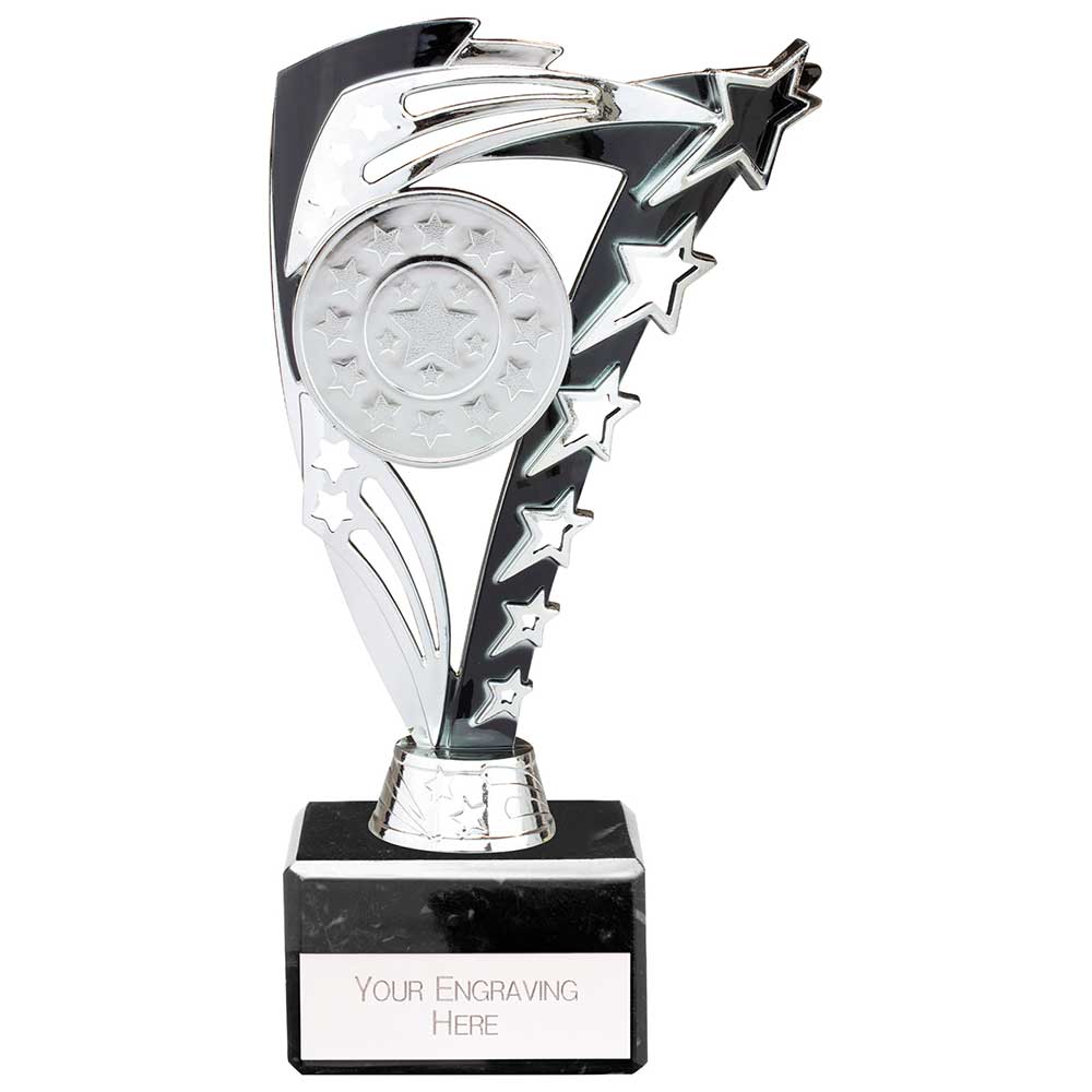 Frenzy Multisport Trophy Silver & Black - 195mm