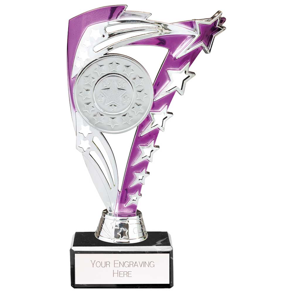 Frenzy Multisport Trophy Silver & Purple - 185mm