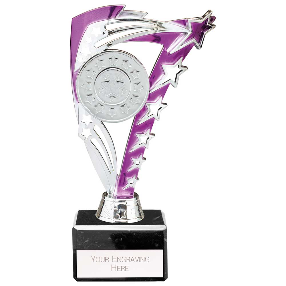Frenzy Multisport Trophy Silver & Purple - 195mm