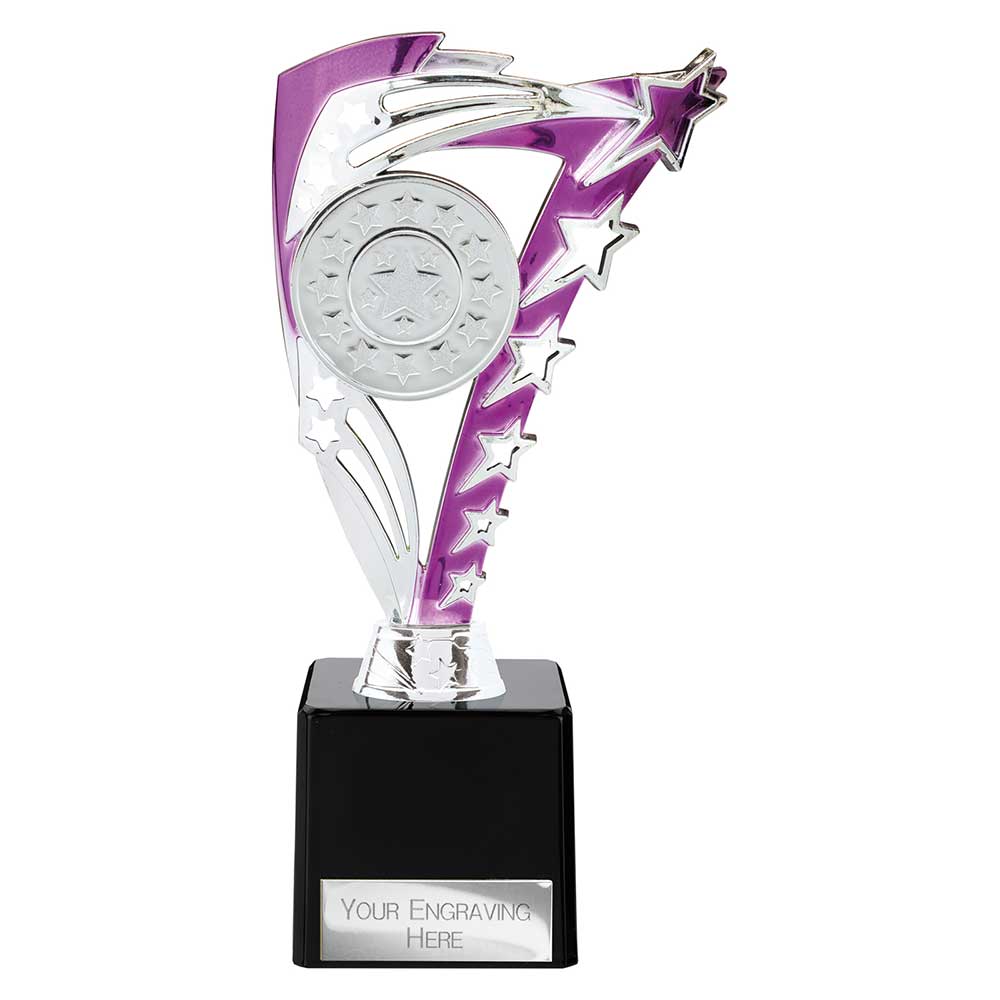 Frenzy Multisport Trophy Silver & Purple - 215mm