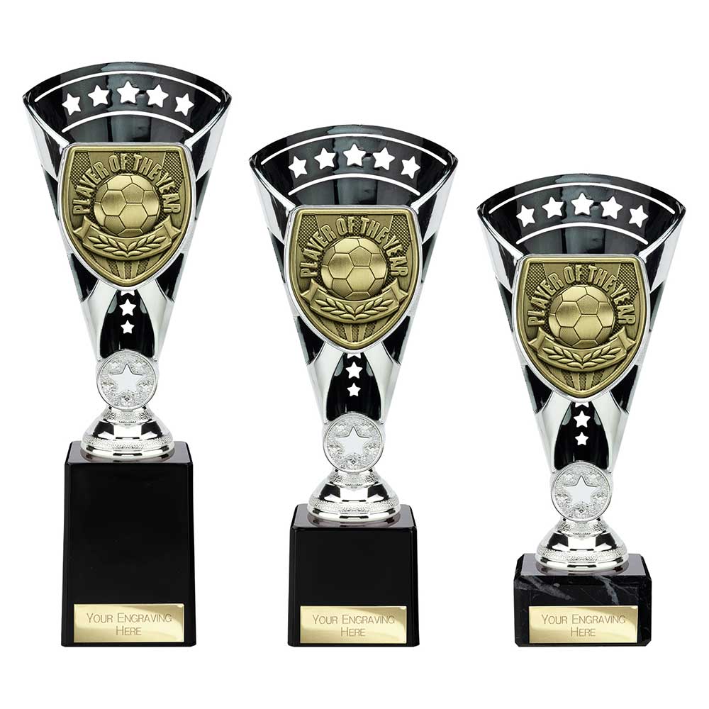 Cobra Star Cup Player of Year