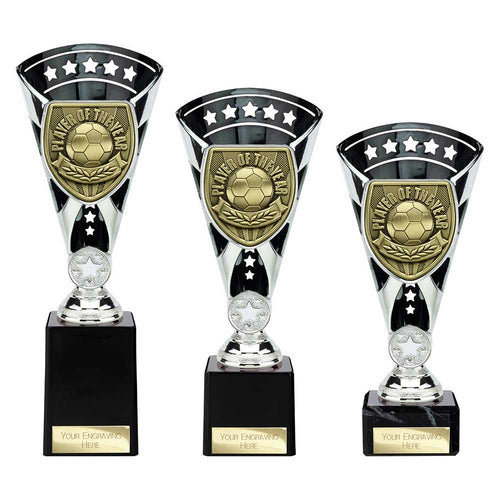Cobra Star Cup Player of Year