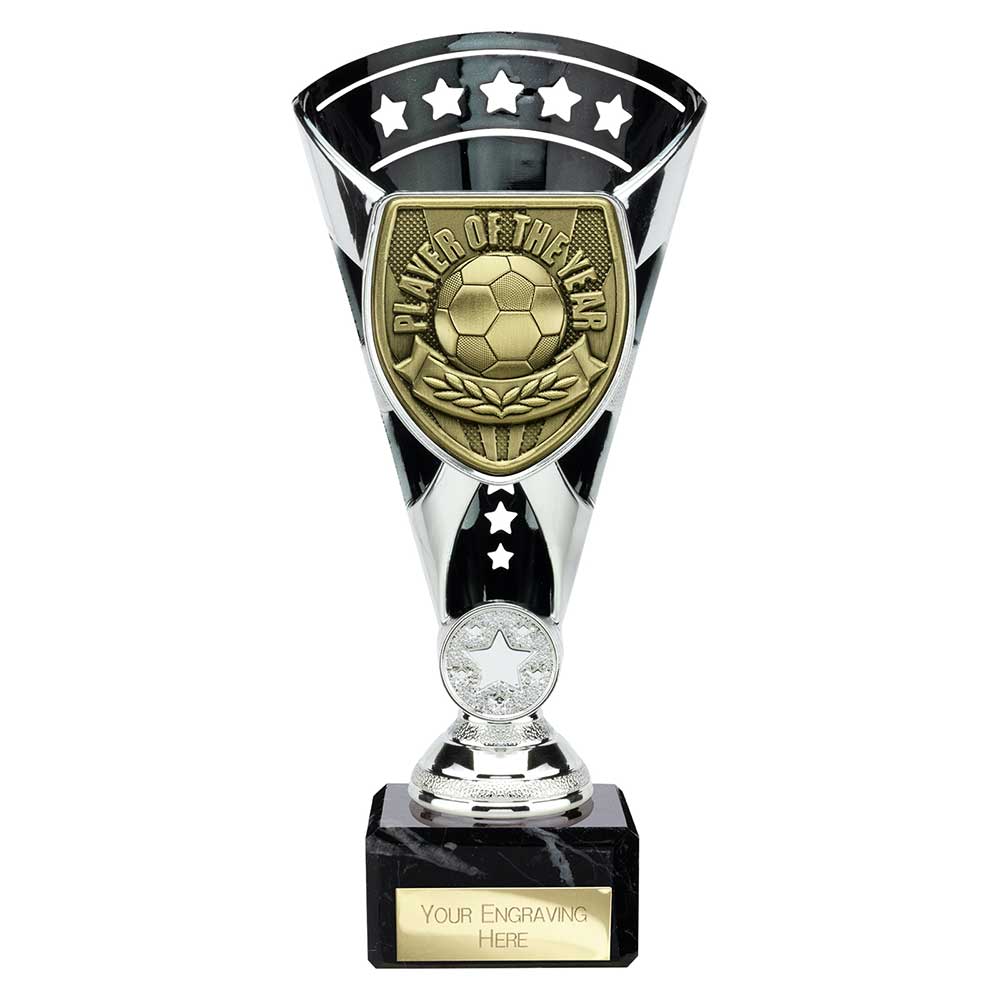 Cobra Star Cup Player of Year - 210mm