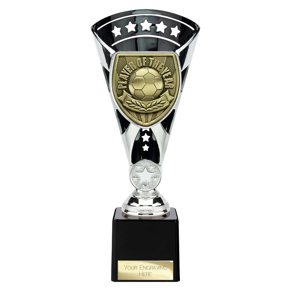 Cobra Star Cup Player of Year - 230mm