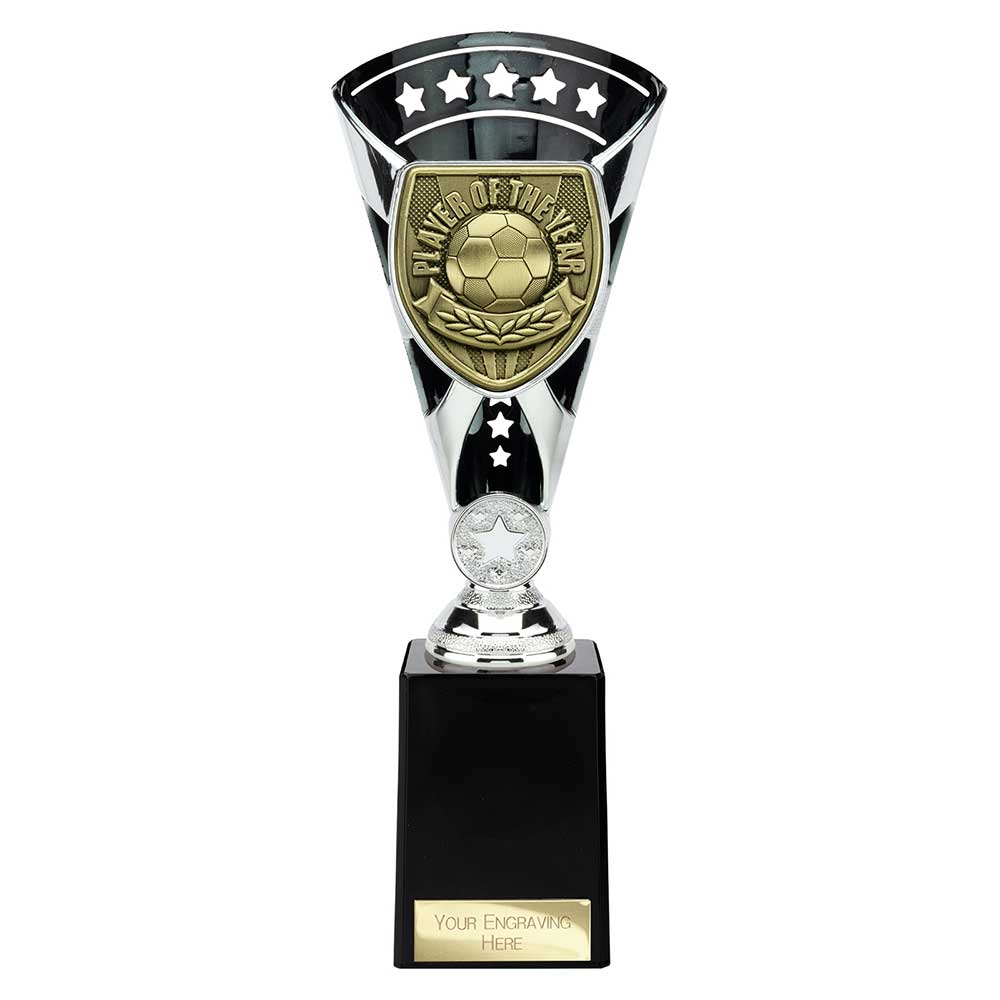 Cobra Star Cup Player of Year - 255mm