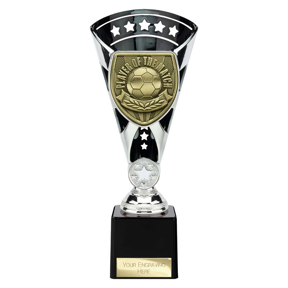 Cobra Star Cup Player of Match - 230mm