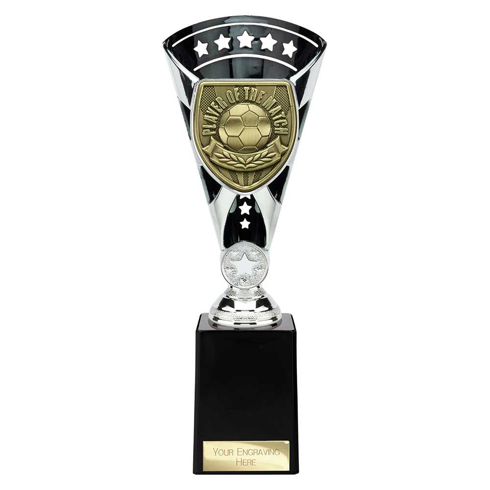 Cobra Star Cup Player of Match - 255mm