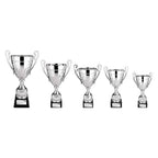Trojan Cup Silver