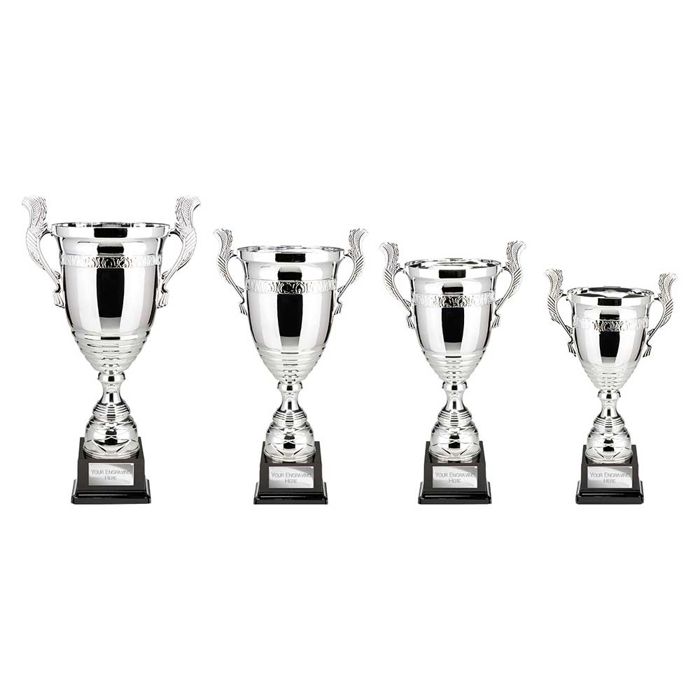 Endeavour Super Cup