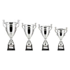 Endeavour Super Cup