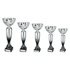 Eruption Silver Cup