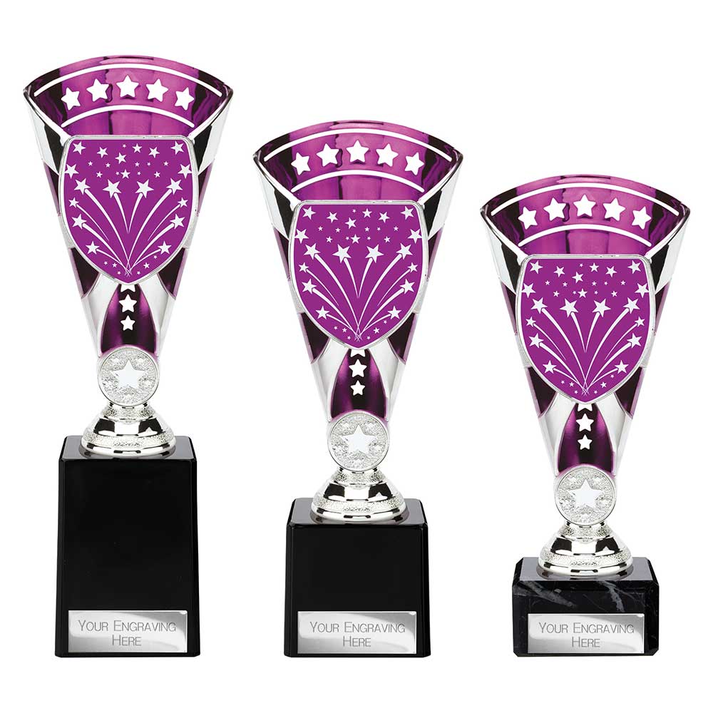 Cobra Star Multisport Cup Silver & Purpl