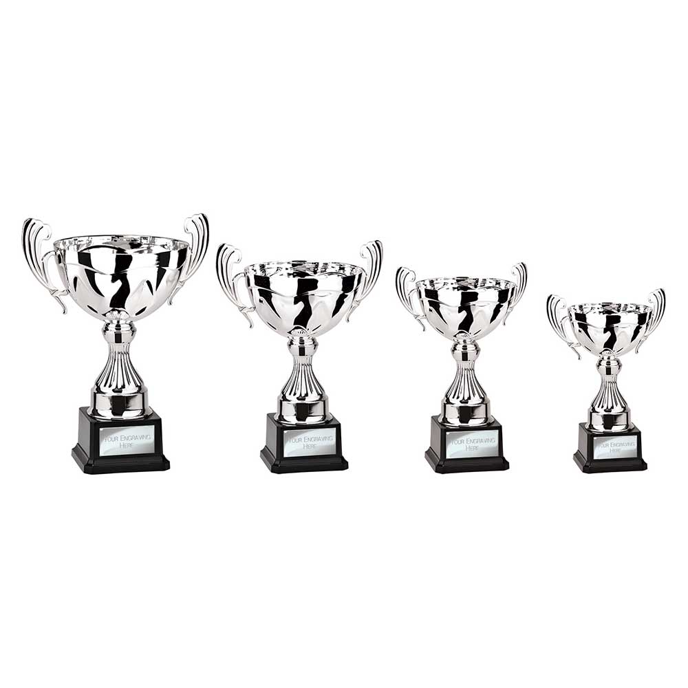 Endeavour Cup Silver