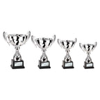 Endeavour Cup Silver