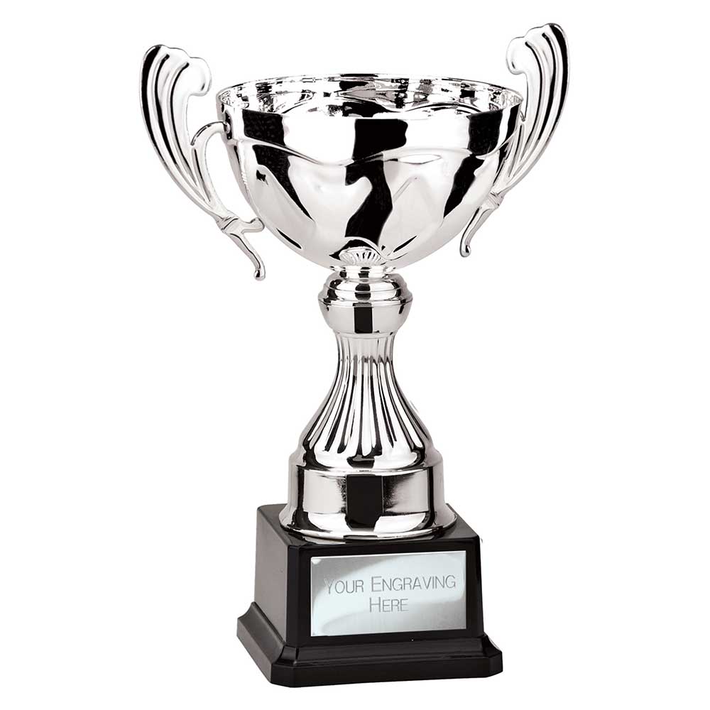 Endeavour Cup Silver - 230mm