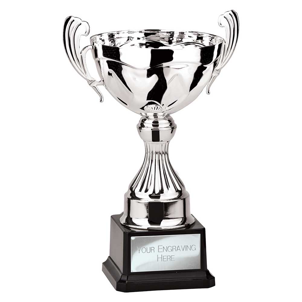 Endeavour Cup Silver - 260mm