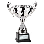 Endeavour Cup Silver - 290mm