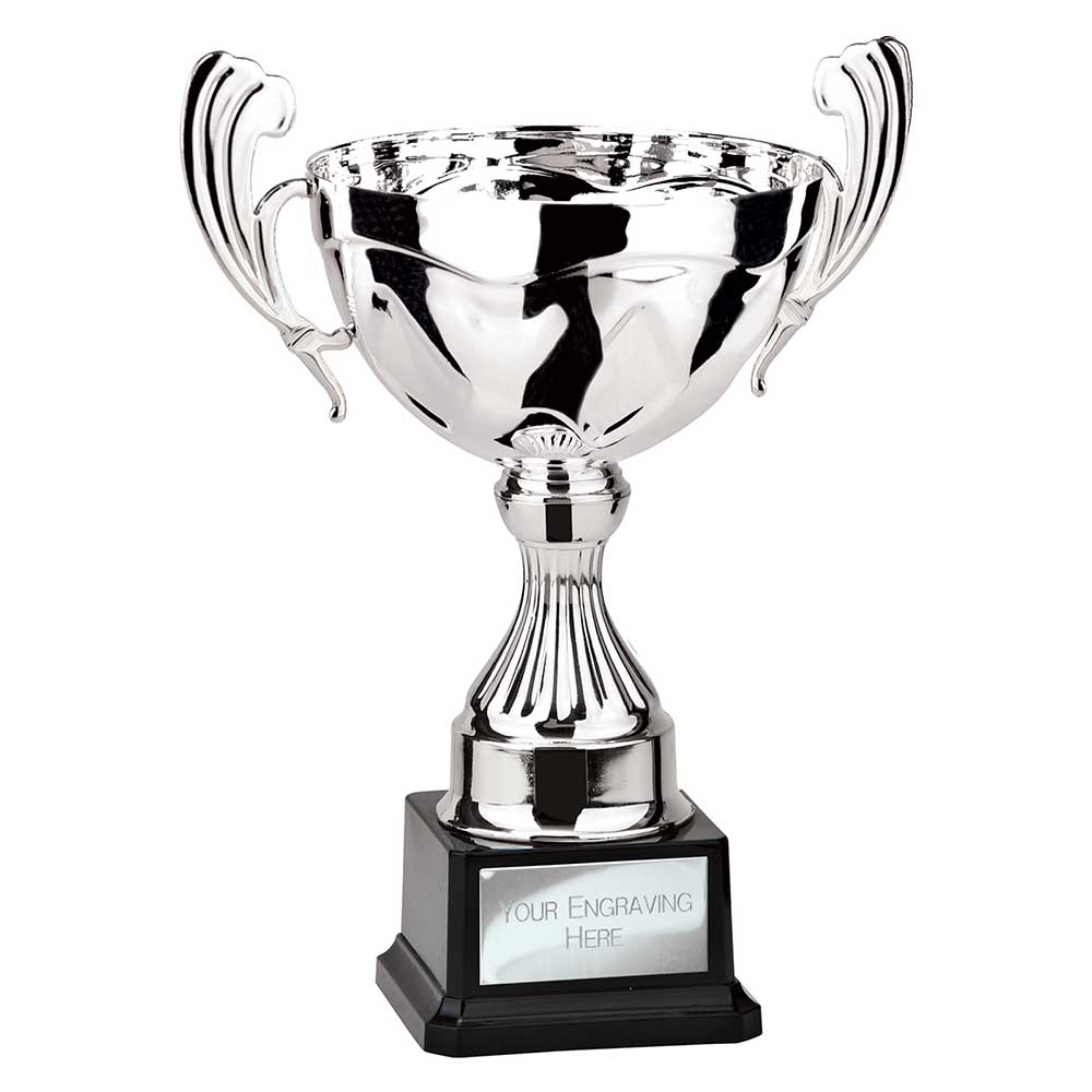 Endeavour Cup Silver - 290mm