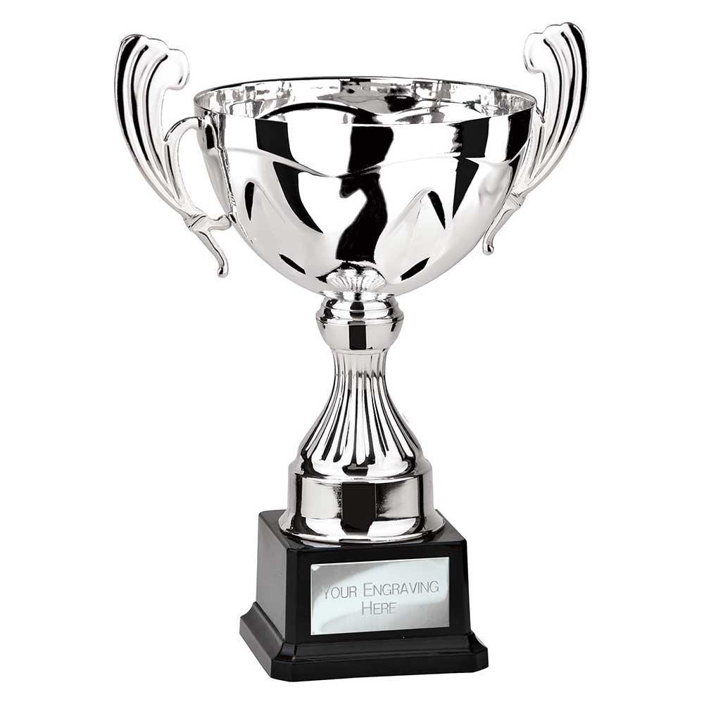 Endeavour Cup Silver - 315mm