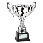 Endeavour Cup Silver - 315mm
