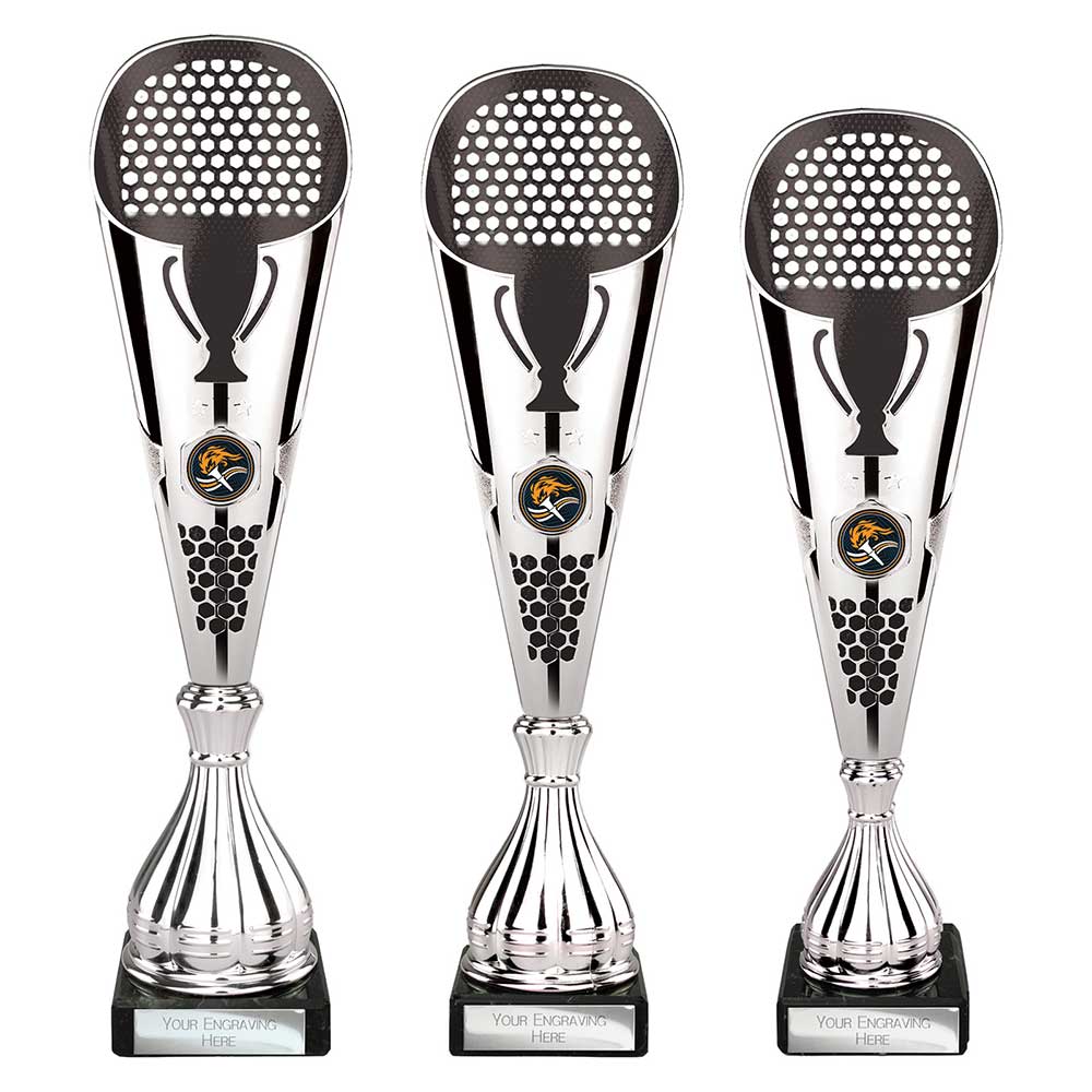 Eclectic Trophy Silver & Black