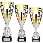 Paramount Laser Cup Silver & Gold