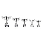 Ovation Silver Cup