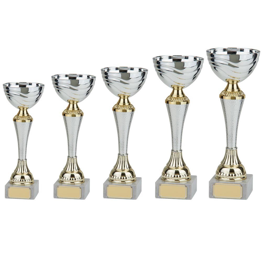 Everest Silver & Gold Cup