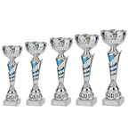 Vanquish Silver & Blue Cup